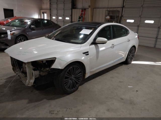 CADENZA   2016 Glove Box 4967996