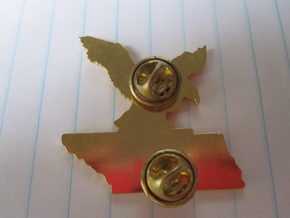 USN 2001-2002 JOHN SCOTT State Commander TENNESSEE Eagle Pin Pinback