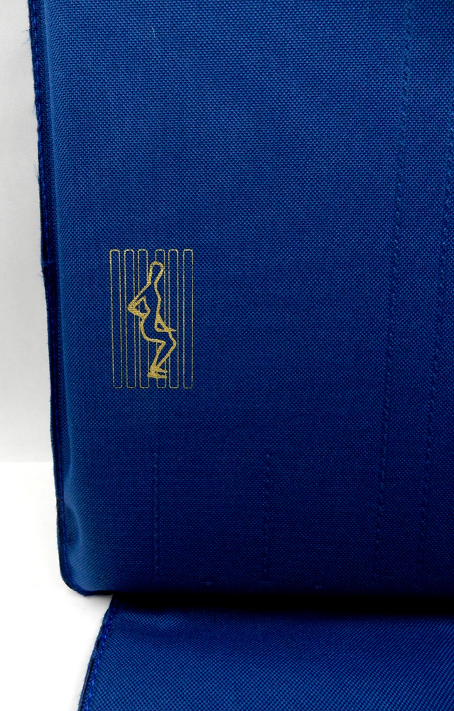 NEW BACK THING SPINAL SUPPORT CUSHION, HOME & TRAVEL VERSION, BLUE