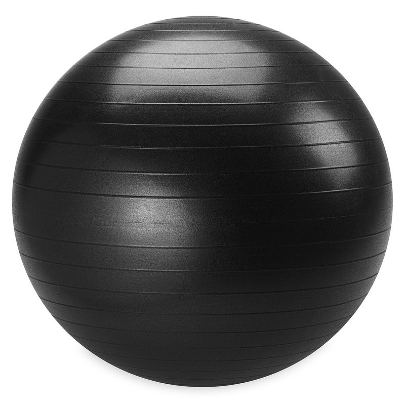 Weighted Stability Ball Kit W/ Pump Core Strength Training Exercise Equipment US