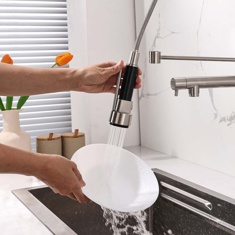 Kitchen Faucet Kit 2-Function Pull Down Sprayer Pot Filler w/Spring Spout