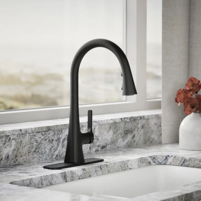 Kohler Guild Pull-down Kitchen Sink Faucet with Three-function Sprayhead - Black