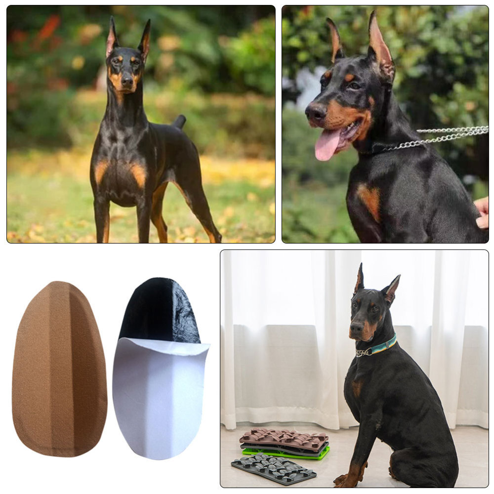 Ear Stand Up Tape Puppy Fixed Support Patch Tool Earrings Baby