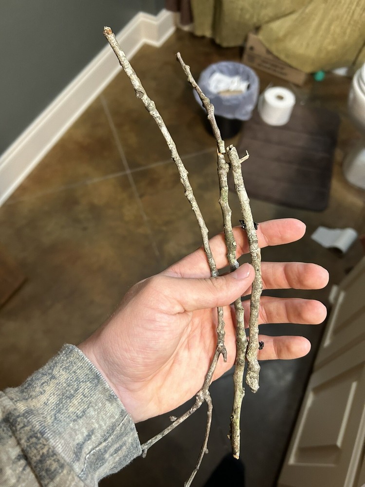 4 Oak Leaves 2 Oak Sticks.