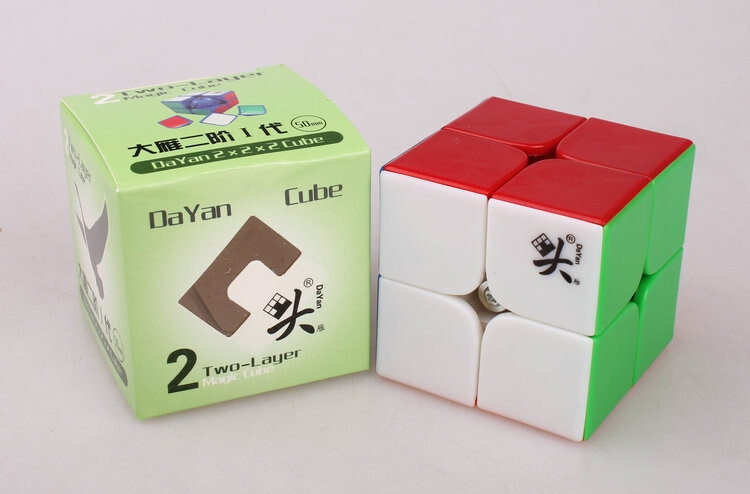 DY 50mm Size 2X2X2 Magic Cube 2X2 Speed Cube Professional Classic Race