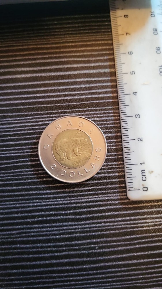 2003 canada 2 dollars bear portait