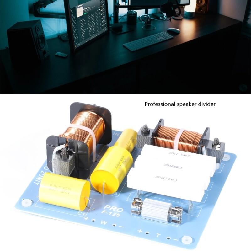 F125 2 Way Speaker Crossover Filter Auditory Frequency Divider Crossovers