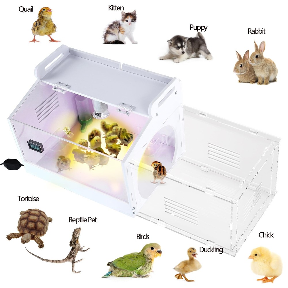 Iarge-Scale Chick brooder Box Quail Cage Egg Incubator Chick Starter Kit Chicken