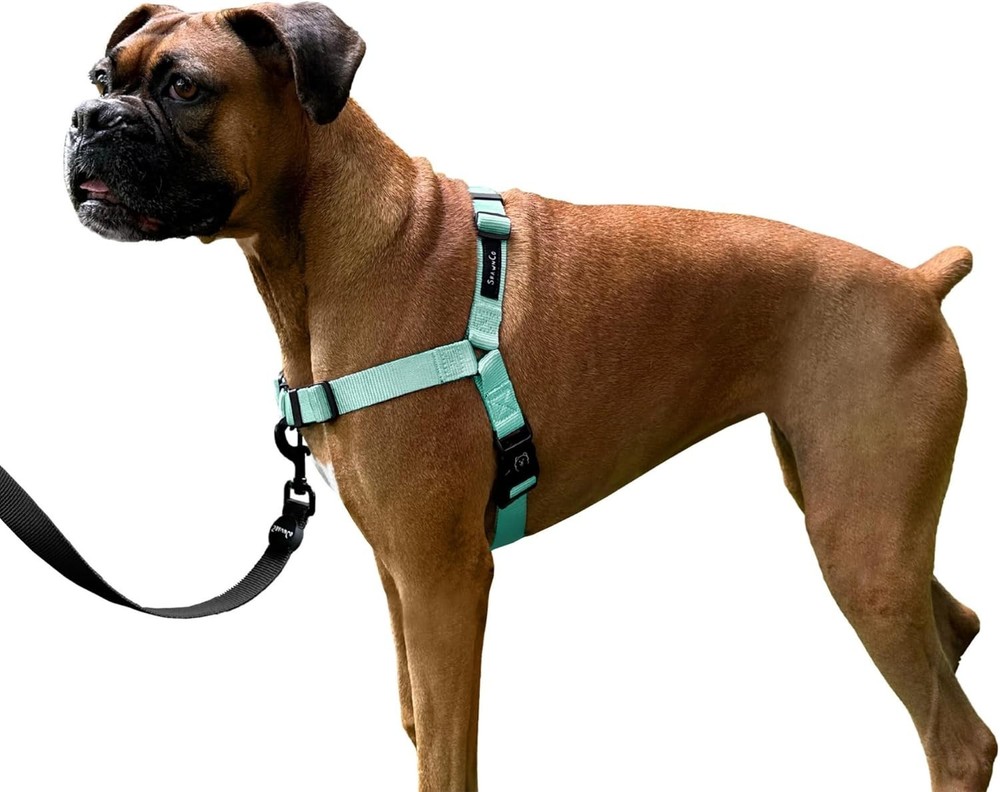 Dream Walk No-Pull Dog Harness - Adjustable, Comfortable Halter for All Breeds