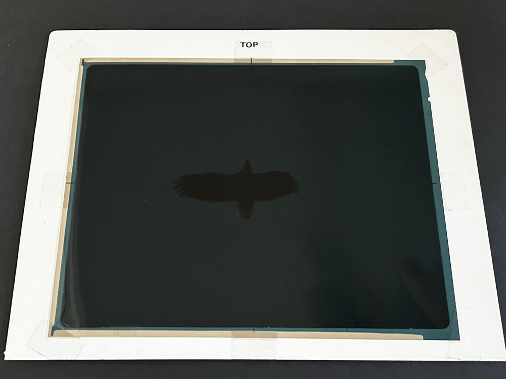 1982 NASA KSC Nature Bald Eagle in Flight Presentation Transparency-577