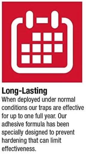 Catchmaster 60M Bulk Packed Mouse Insect & Snake Glue Boards 60-Pack