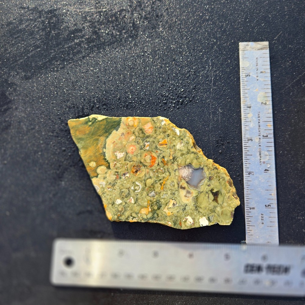 Rainforest Jasper slab