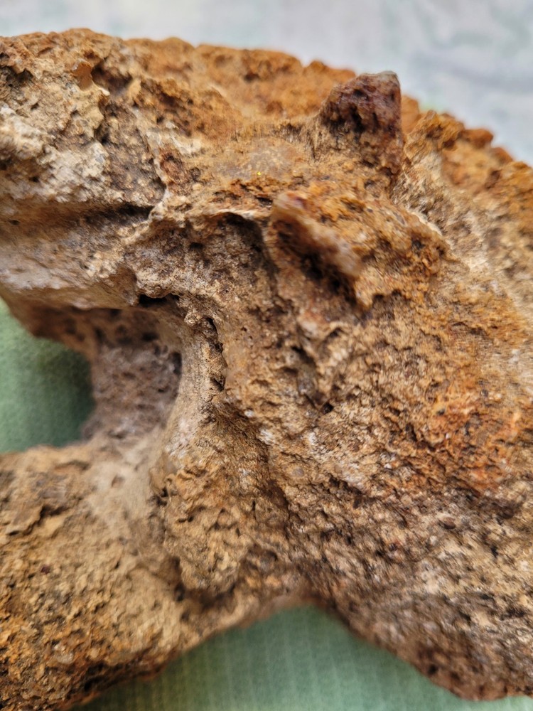 Unique Unknown rock formation (Alien Head Shape) 3lbs