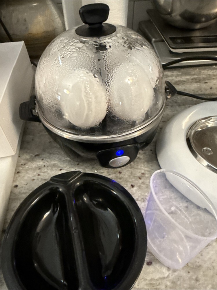 dash rapid 6 egg cooker/all Accessories