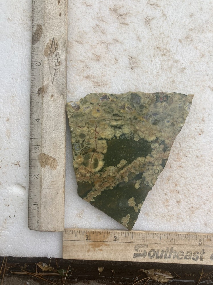 Rainforest Jasper Slab