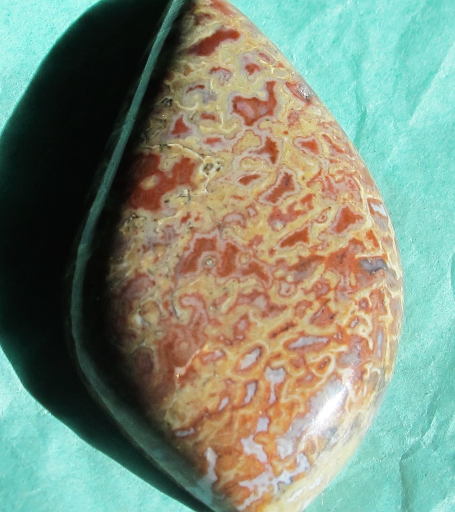 Dinosaur Bone * Large Unique Cabochon - 60 cts.