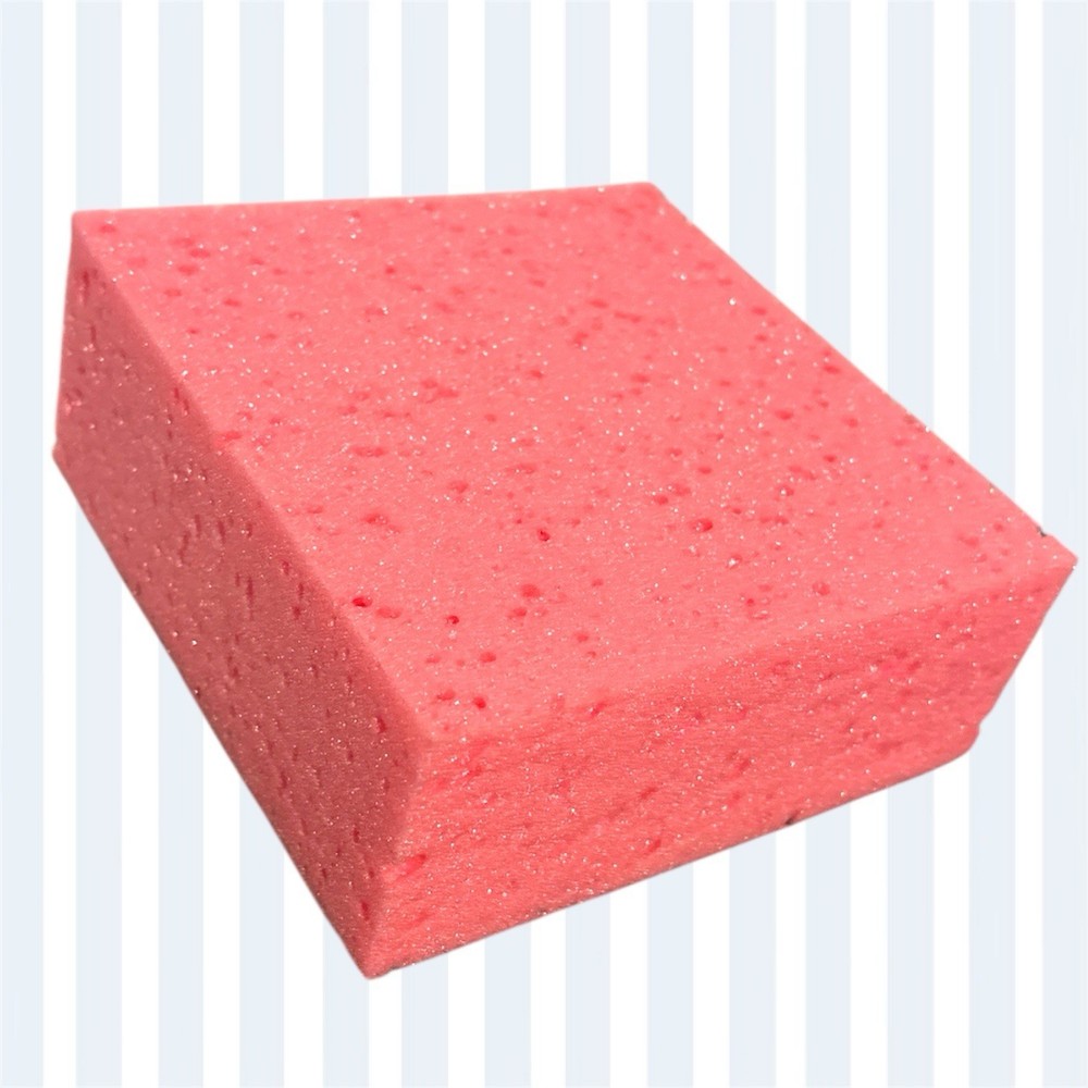 Sponges
