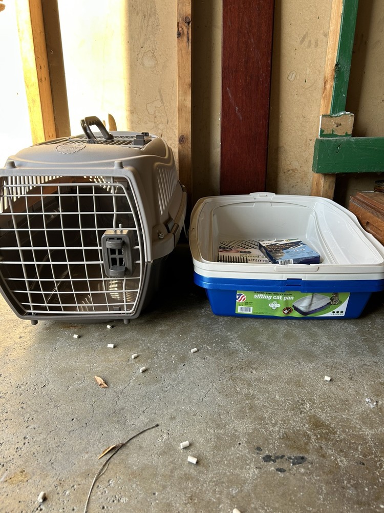 Cat Items