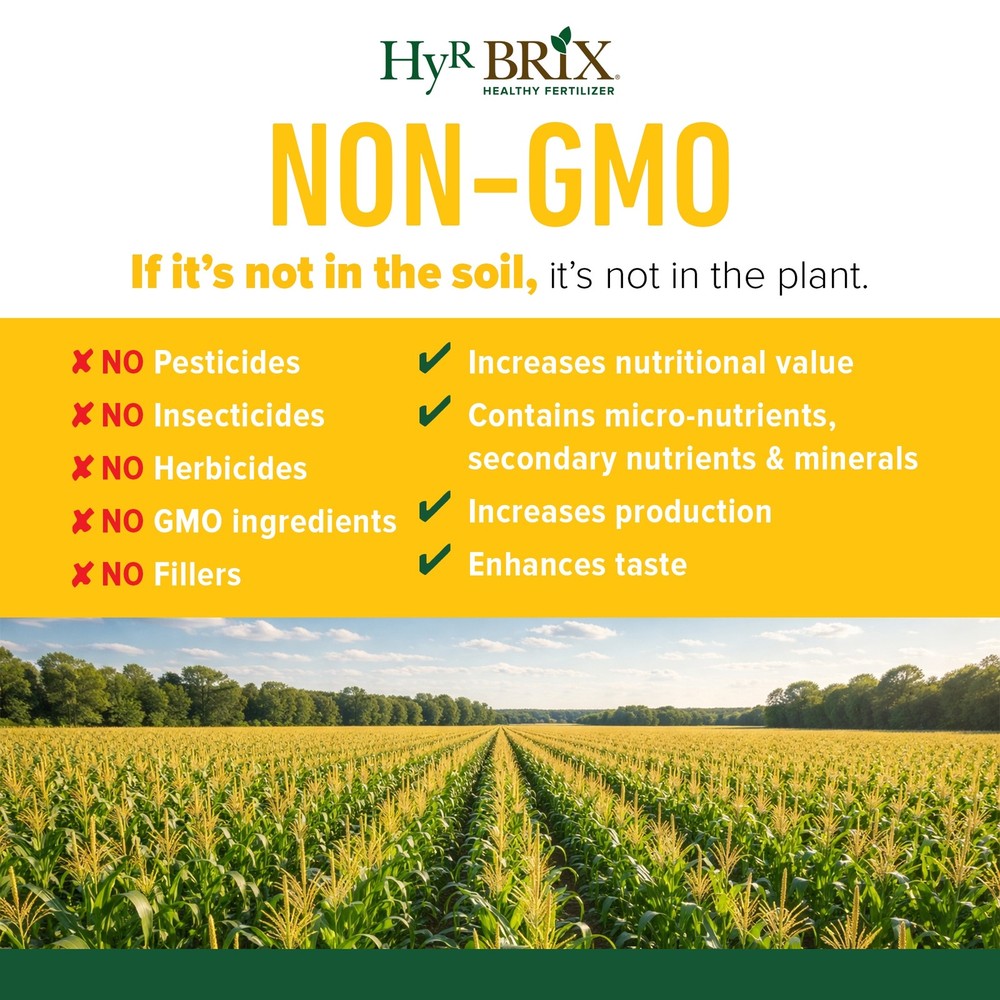 HyR BRIX Slow-Release 16-7-10 Sweet Corn Fertilizer, 45lb Bag