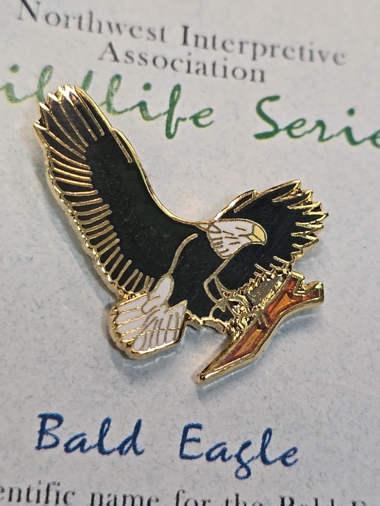 Bald Eagle Lapel Pin Northwest Interpretive Association Wildlife Series