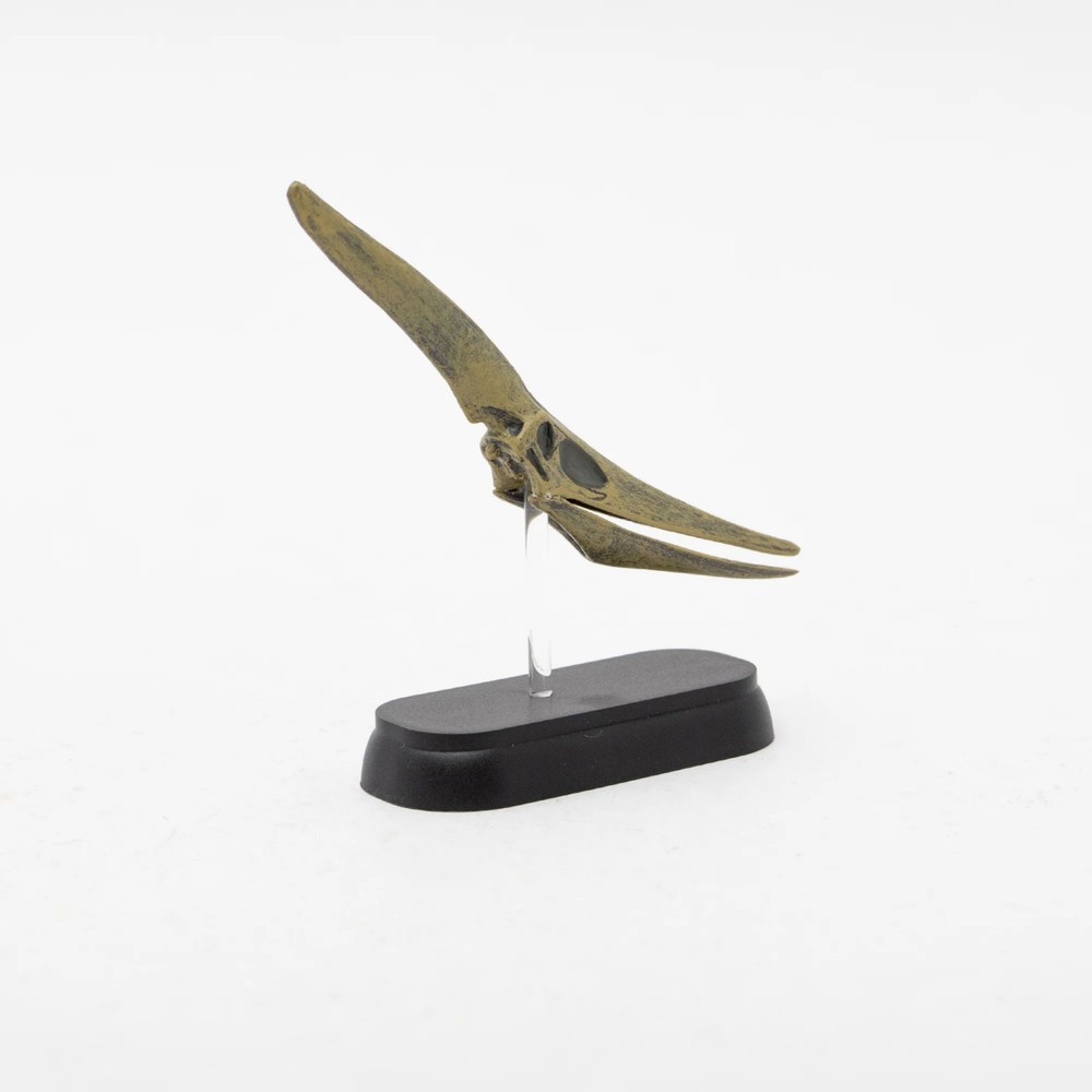 Dinosaur Pteranodon Skull Mini Figure Mini Model Favorite