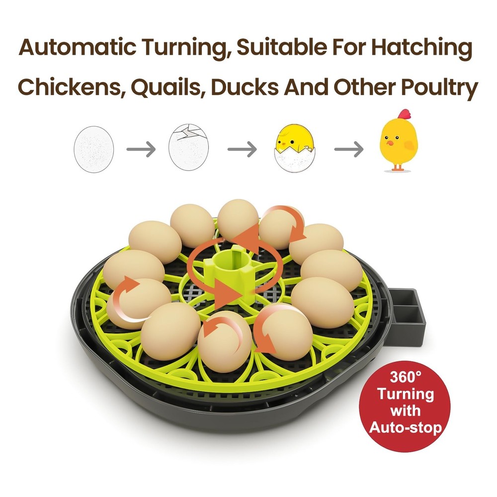 Incubators for Hatching Eggs 12 Egg Incubator with Automatic Egg Turning and ...
