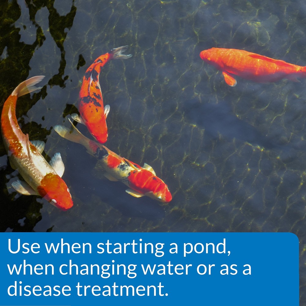 API POND SALT Pond Water Salt 4.4-Pound Container (156C) 1