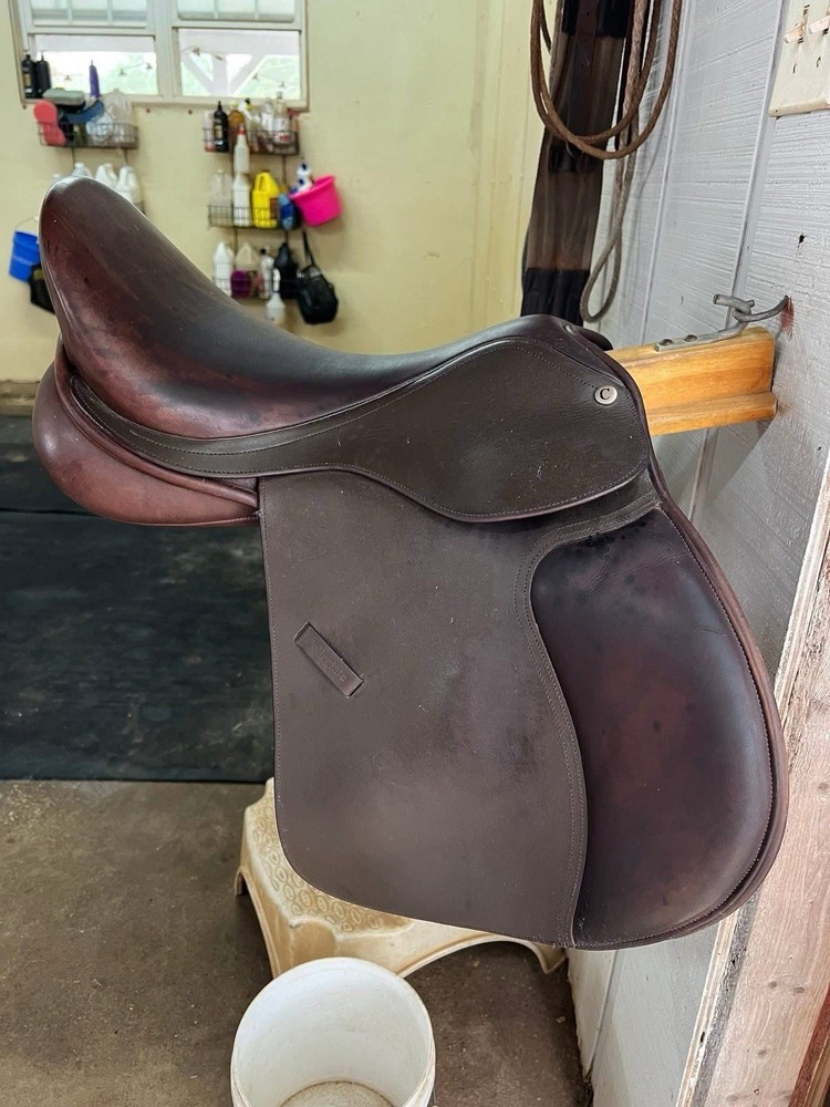 Collegiate Saddle 16.5”