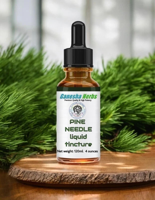 PINE NEEDLE liquid tincture 120 ml / 4 ounces