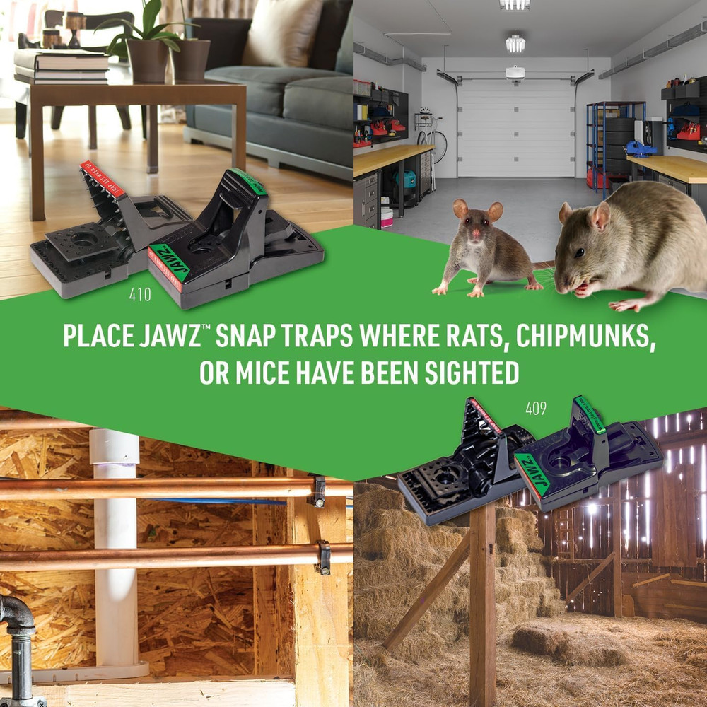 Jawz Depot Covered Mouse Trap