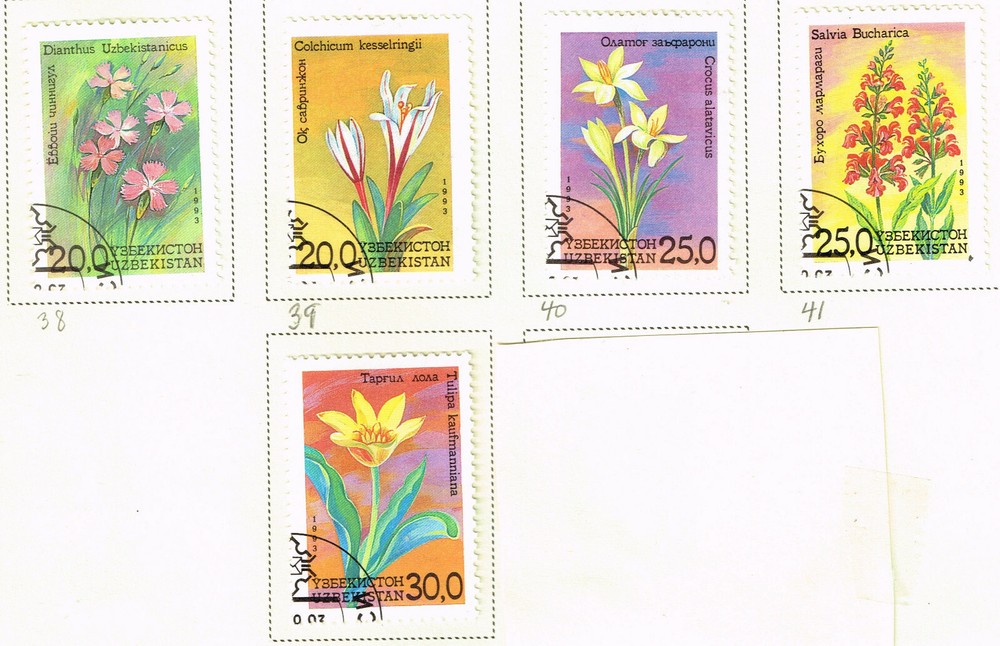 Uzbekistan Flora Flowers set 1993