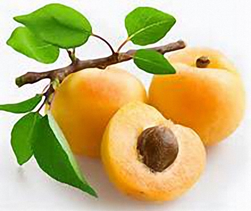 4 oz Candle Scent Oil-APRICOT
