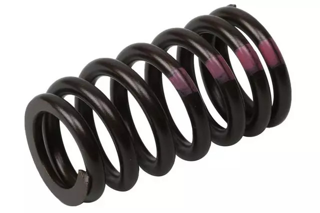 Genuine GM Engine Valve Spring 55571551