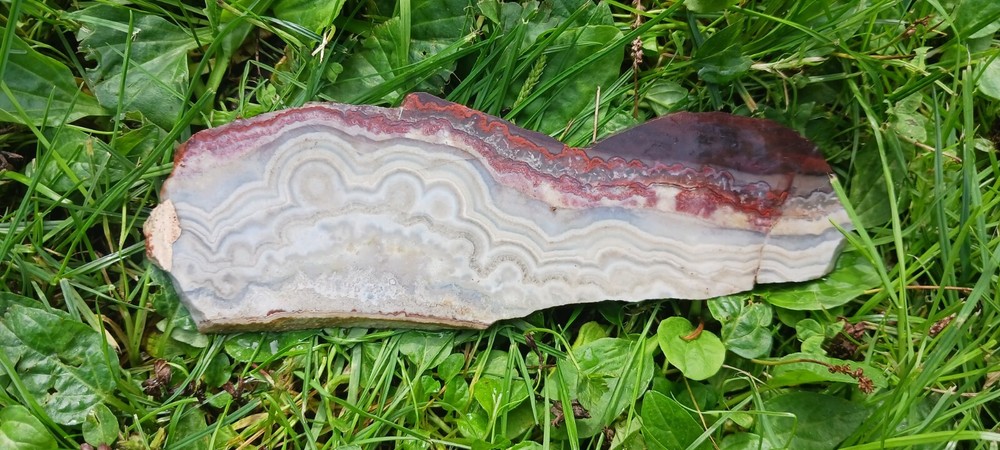 Lace Agate, slab, old stock