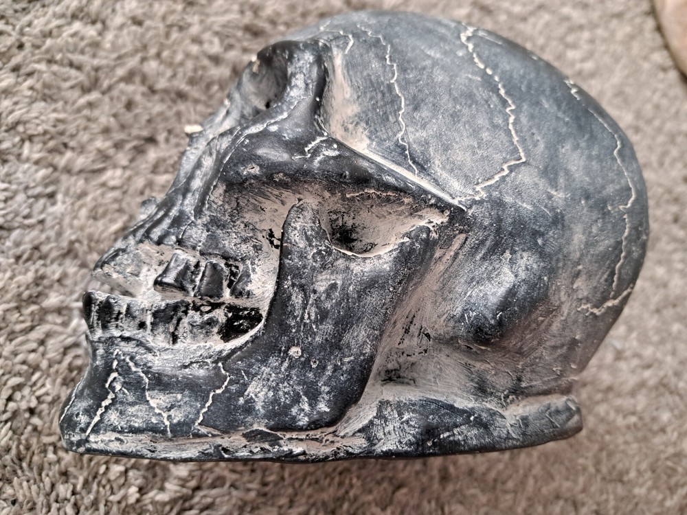 Skull