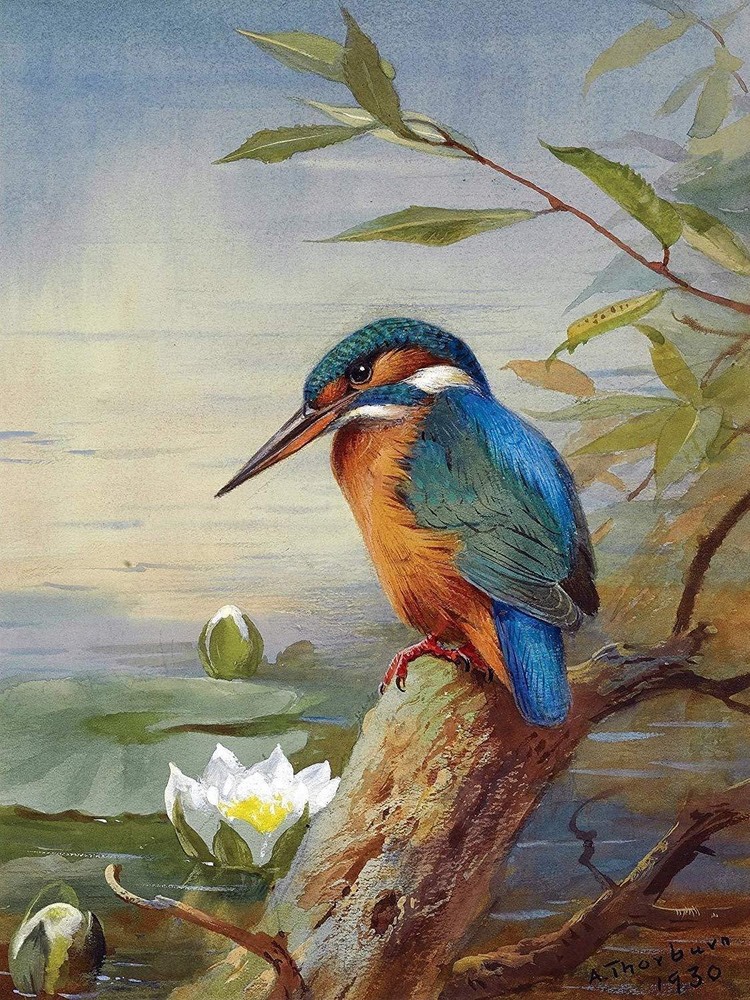 Kingfisher in Water A. Thorburn Bird Tile Mural Kitchen Wall Backsplash Ceramic