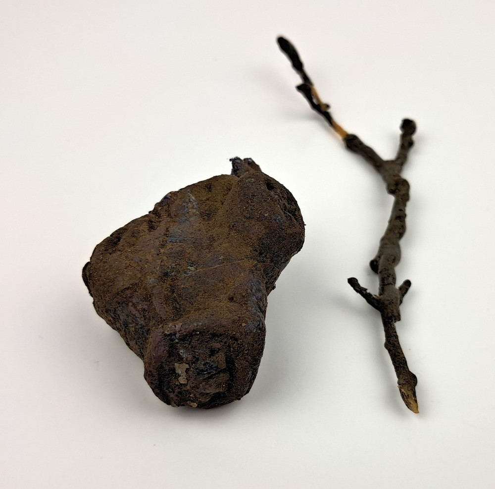 Once Upon a Time - TV Prop - Night Root pieces