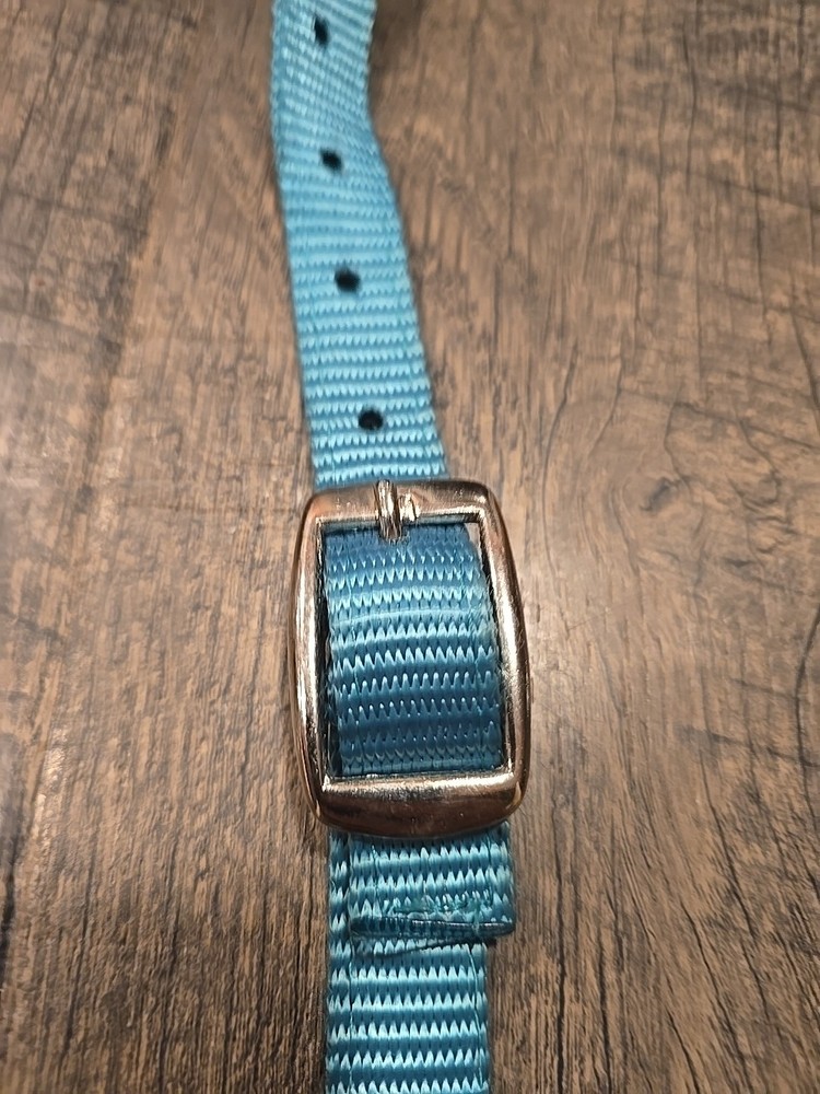 western headstall