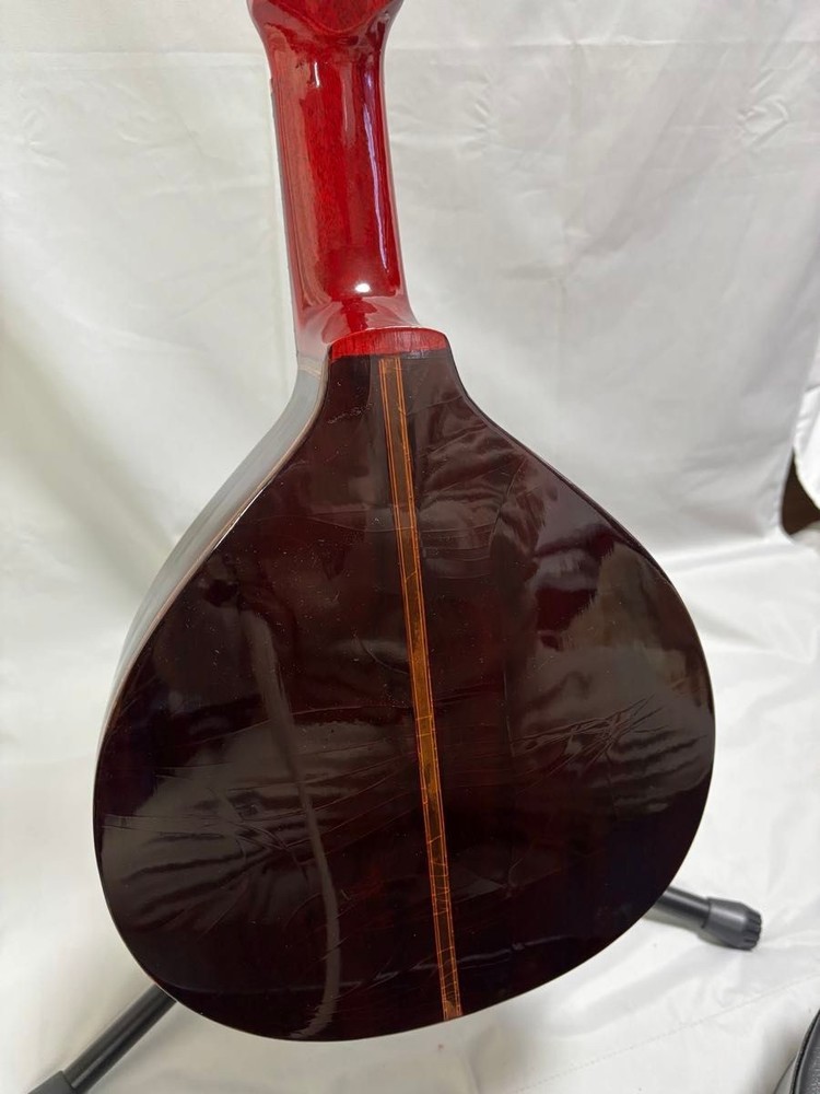 �y�󏭃��A�zOscar Schmidt Stella 12-string (1920s)