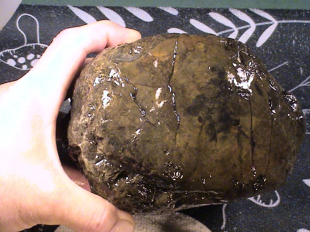 Black Chalcedony Jasper Agate, Solid Rough Lapidary Rock, 7 LBS, 6 OZ, #337