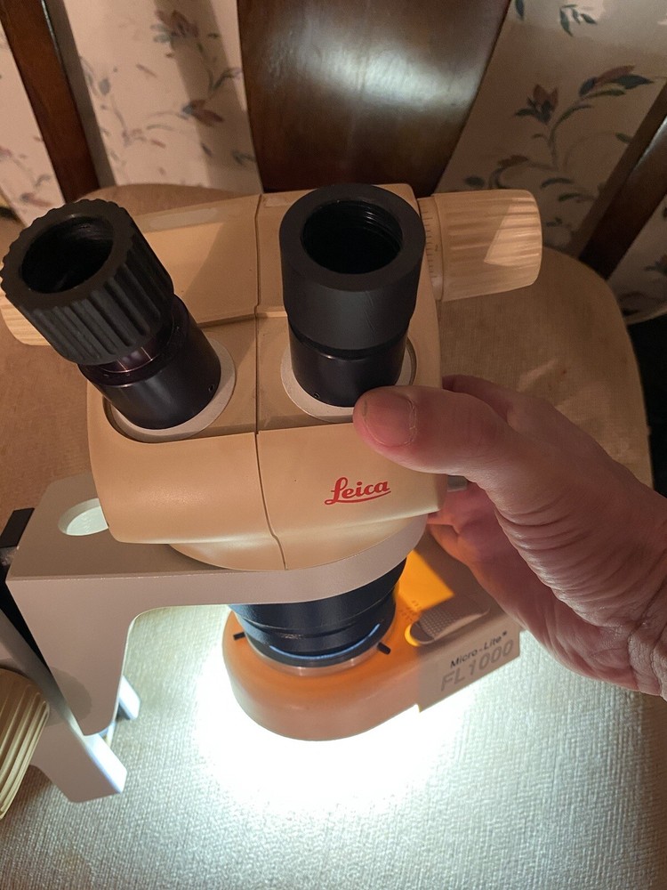 Leica GZ4 with Microlite