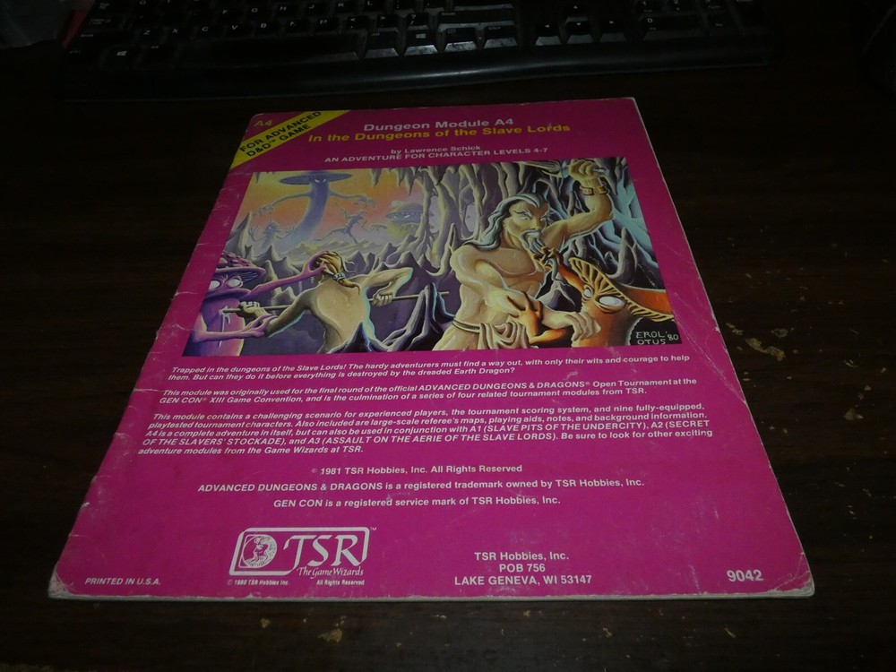 TSR AD&D: Module A4: In the Dungeons of the Slave Lords