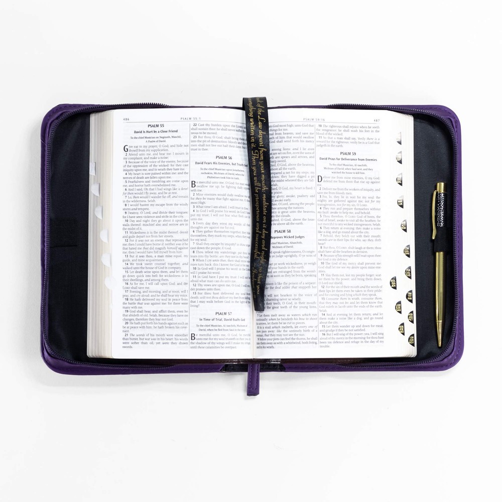 Divinity Boutique "For I Know The Plans" Multicolor Bible Cover Case