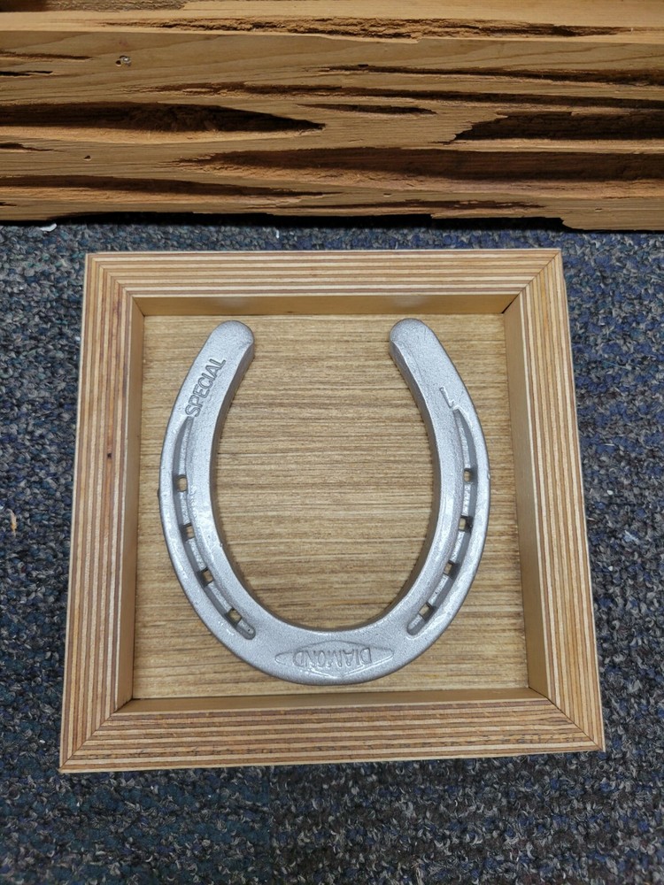 Horse Shoe Art