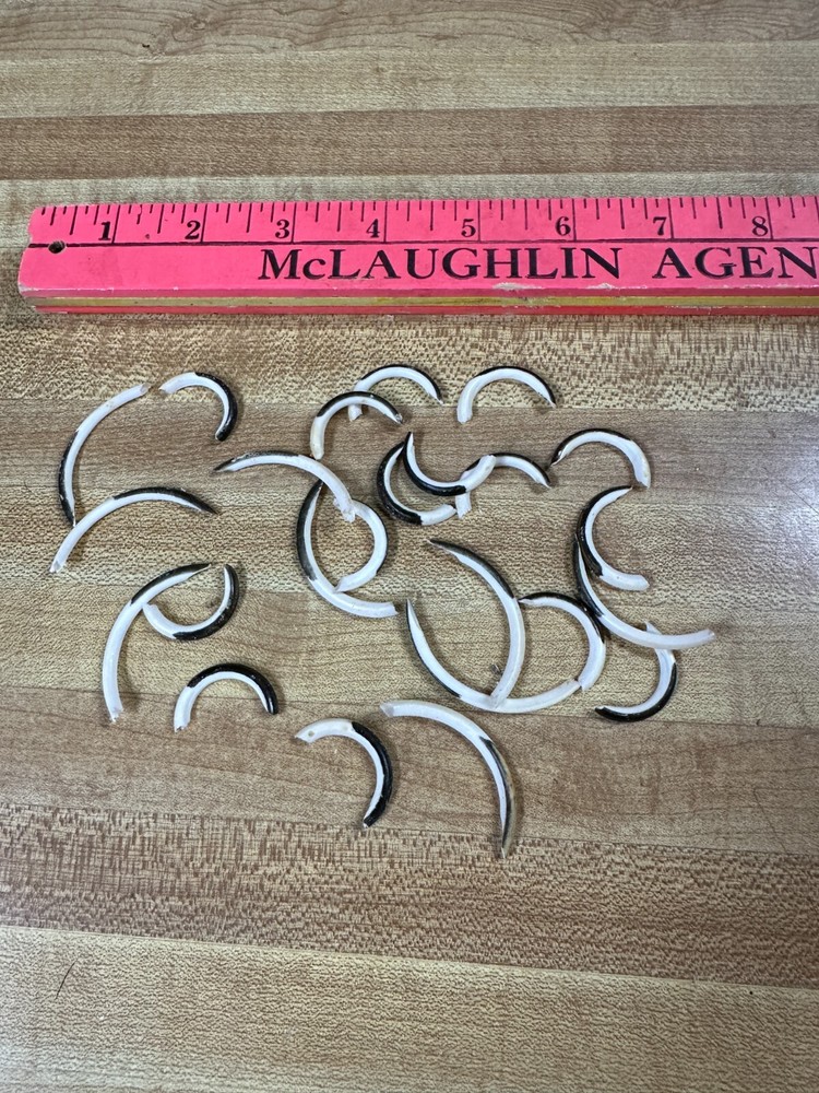 MUSKRAT TEETH CRAFTS SMALL PROJECTS 24 Total AS IS