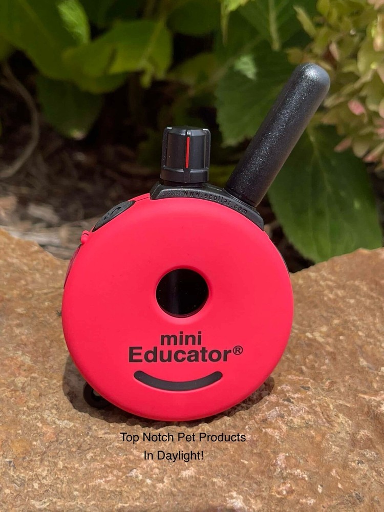 E-Collar Technologies ET-300/302 TRANSMITTER ONLY PINK -QUICK-RELEASE BELT CLIP!