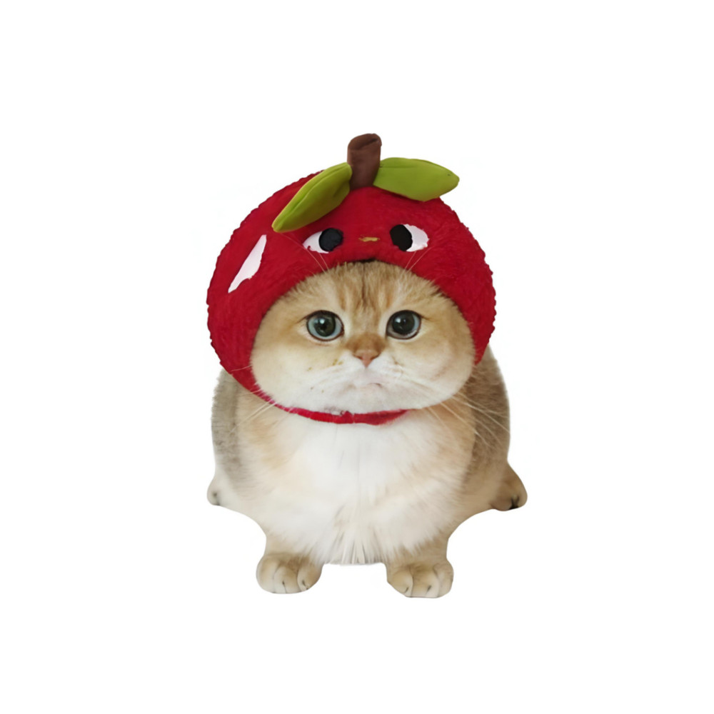 Pet flower costume for parties