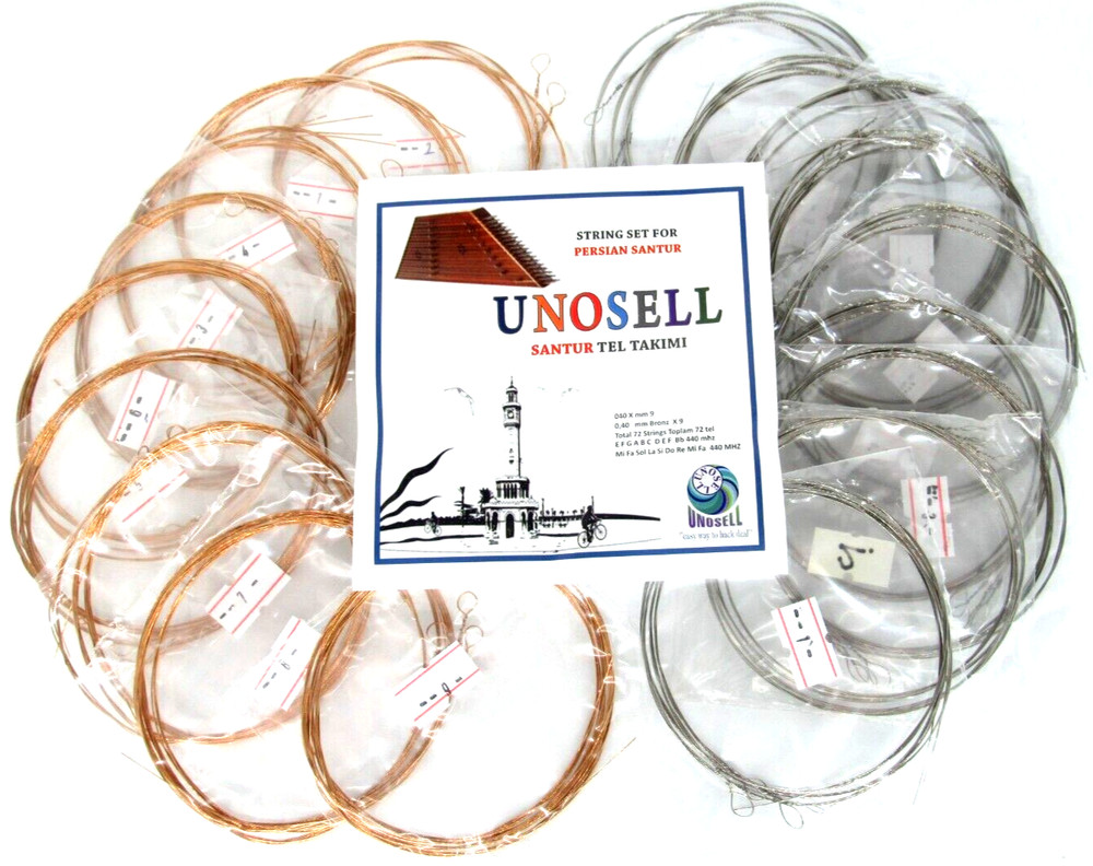 String Set For   String Instrument Santur Santoor