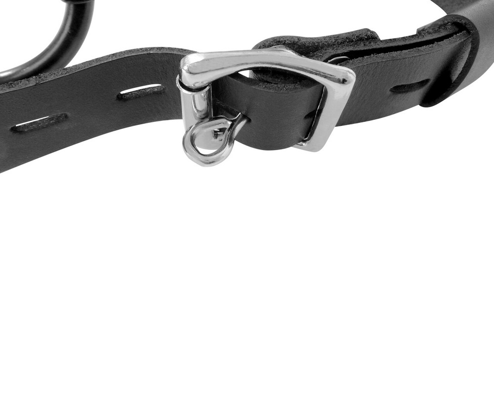 Deluxe Leather Lockable Ring Gag, Ball Gag, Open With Adjustable Leather Strap