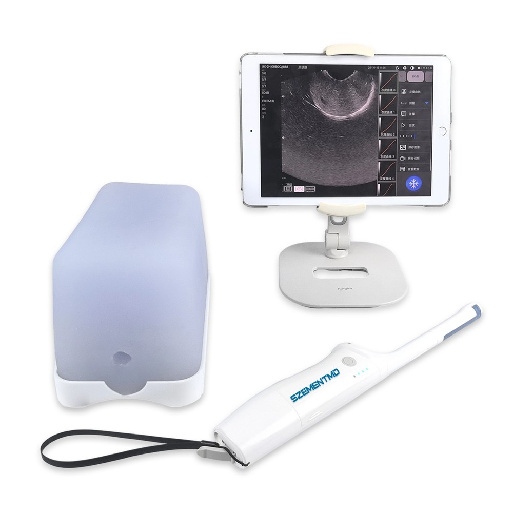 Ultrasound Guided Prostate Phantom -Reusable Training Model for Medical Practice